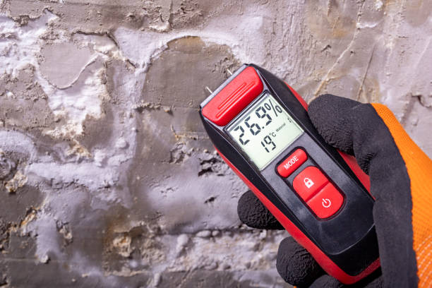 Best Residential Mold Remediation in Groves, TX